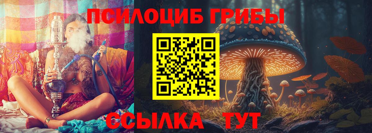 Чайковский  Псилоцибиновые грибы GOLDEN TEACHER  даркнет сайт  Вход с VPN 